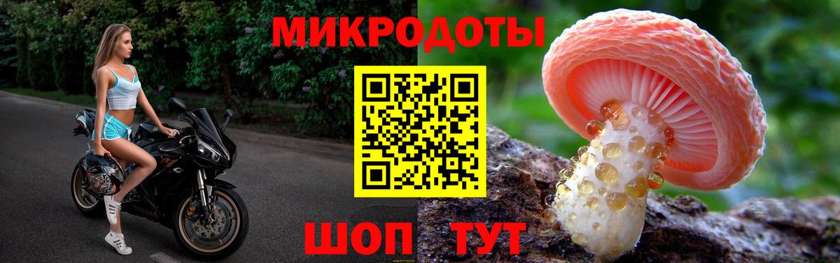 Псилоцибиновые грибы прущие грибы Курчатов
