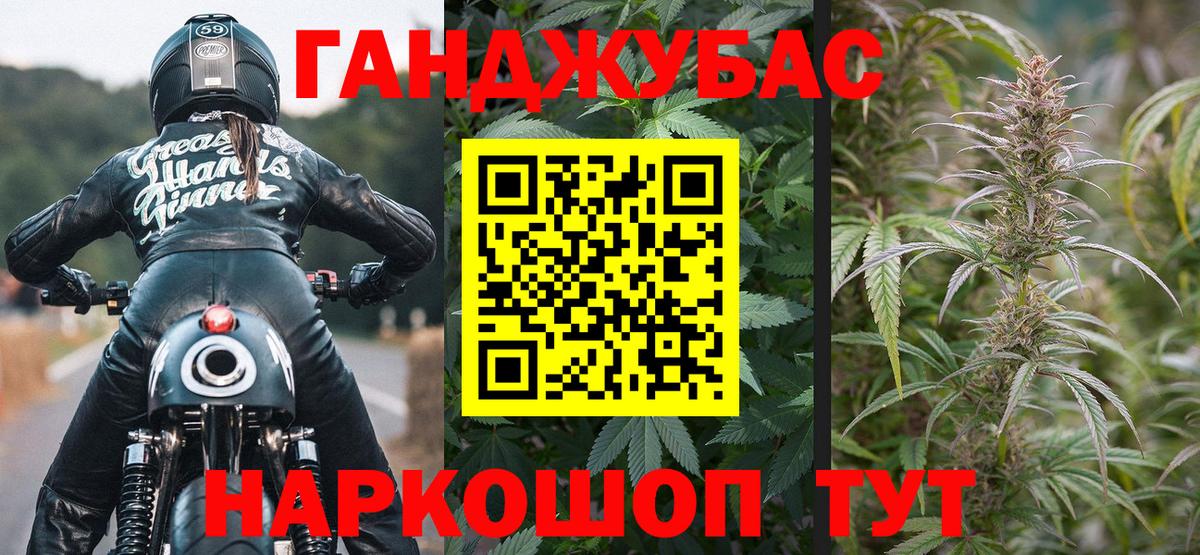 Каннабис индика Курчатов